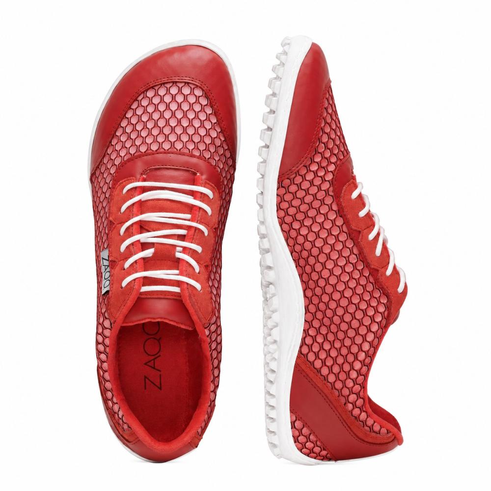 Toqio Red